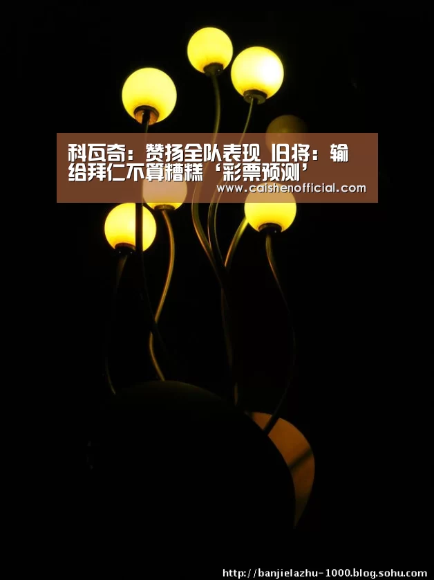 彩票分析