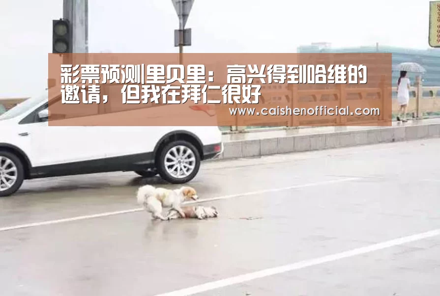 彩票分析