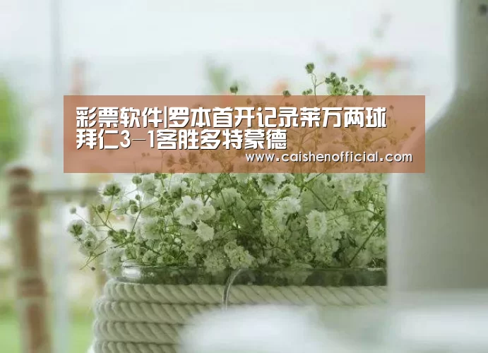 彩票软件