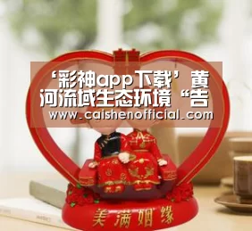 ‘彩神app下载’黄河流域生态环境“告急” 全国人大代表王金南建议制定《黄河保护法》(图3) 彩票预测